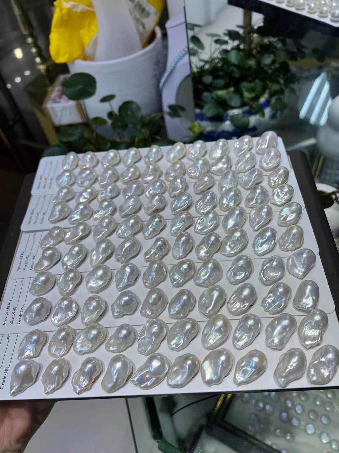 Undrilled 13-15mm white fireball shape baroque freshwater pearls with high luster for jewelry makers.