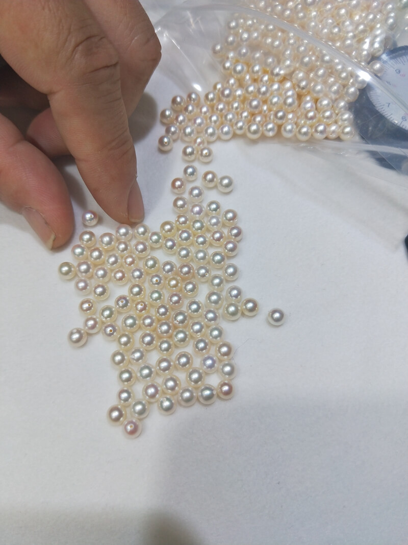 Close-up of a hand sorting loose 5mm round freshwater pearls. Half-drilled, high-luster pearl supplies ideal for boutique jewelers crafting elegant stud earrings pearl collections.